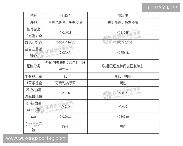 详细解析三秒规则国际差异的具体条款与各大联赛执行标准说明